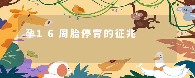 孕16周胎停育的征兆