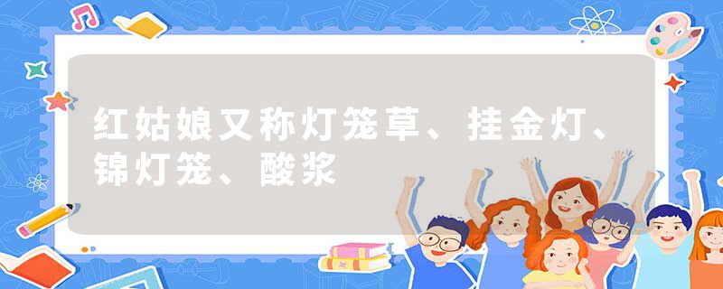 红姑娘又称灯笼草、挂金灯、锦灯笼、酸浆