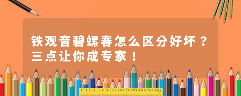 铁观音碧螺春怎么区分好坏？三点让你成专家！