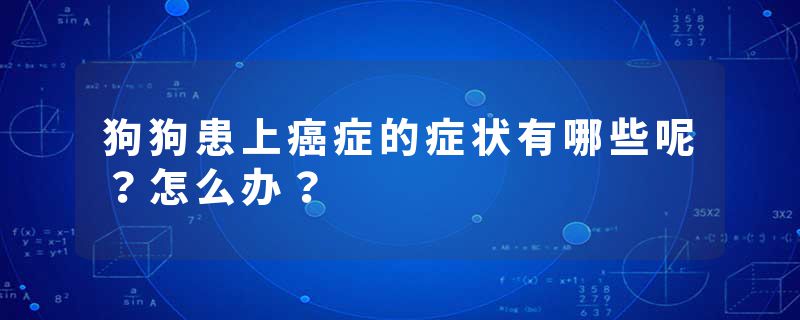 狗狗患上癌症的症状有哪些呢？怎么办？