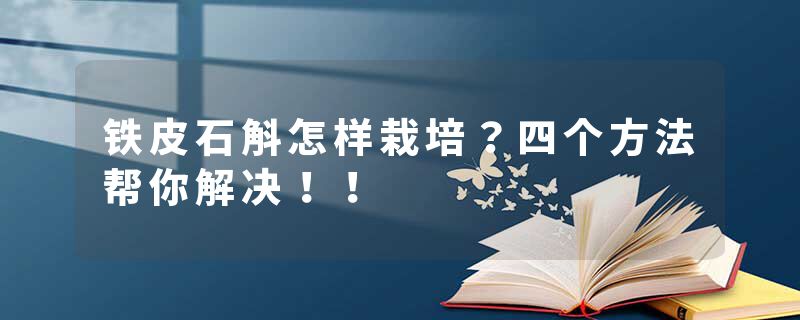 铁皮石斛怎样栽培？四个方法帮你解决！！