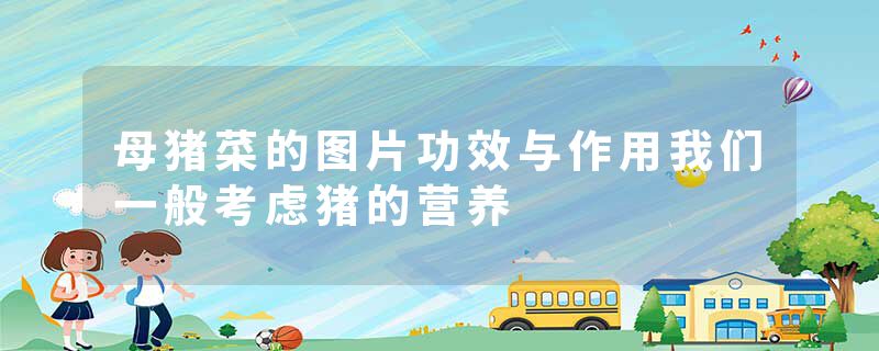 母猪菜的图片功效与作用我们一般考虑猪的营养