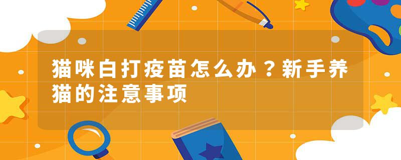 猫咪白打疫苗怎么办？新手养猫的注意事项