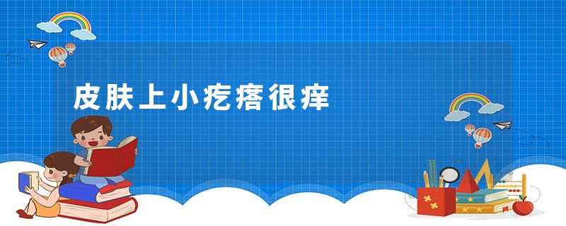 皮肤上小疙瘩很痒