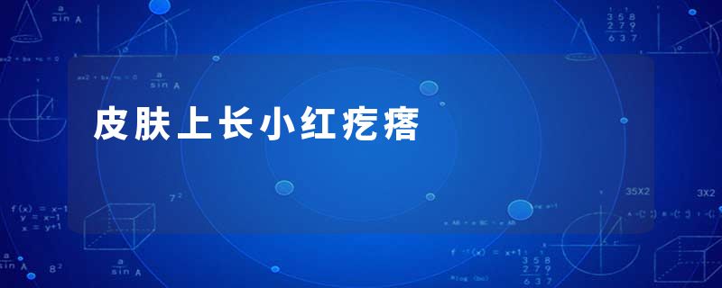 皮肤上长小红疙瘩