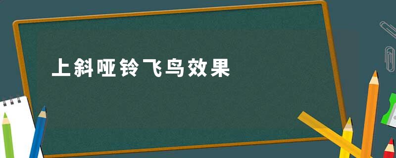 上斜哑铃飞鸟效果