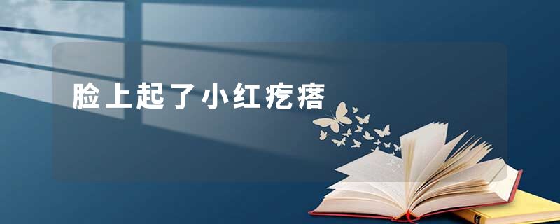 脸上起了小红疙瘩