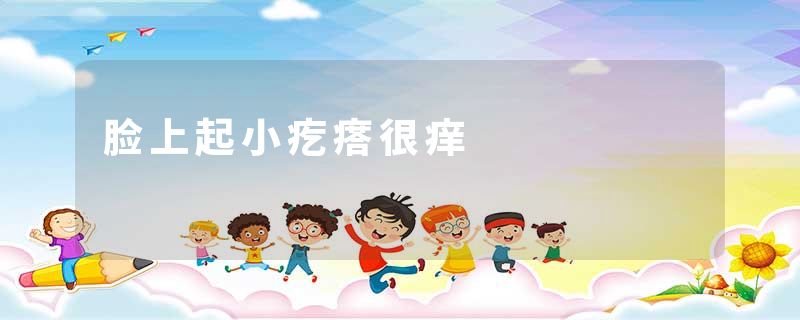 脸上起小疙瘩很痒