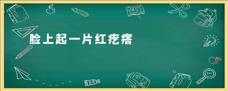 脸上起一片红疙瘩
