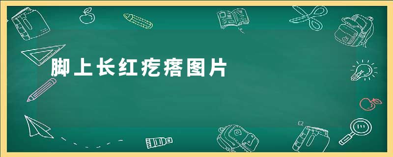 脚上长红疙瘩图片