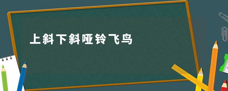 上斜下斜哑铃飞鸟
