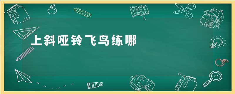 上斜哑铃飞鸟练哪