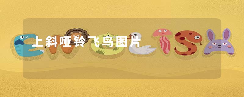 上斜哑铃飞鸟图片