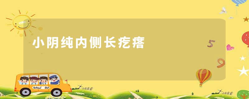 小阴纯内侧长疙瘩