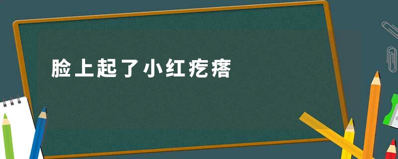 脸上起了小红疙瘩