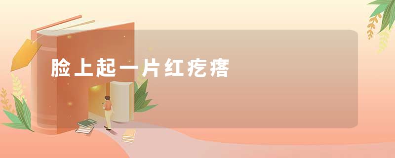 脸上起一片红疙瘩
