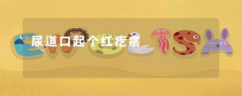 尿道口起个红疙瘩