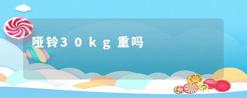 哑铃30kg重吗