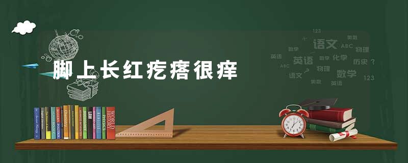脚上长红疙瘩很痒