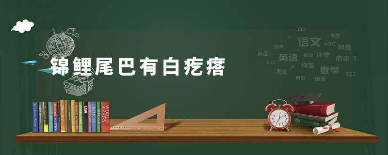 锦鲤尾巴有白疙瘩