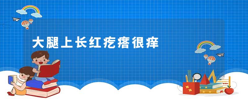 大腿上长红疙瘩很痒