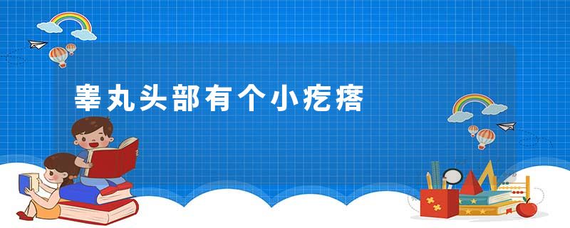 睾丸头部有个小疙瘩