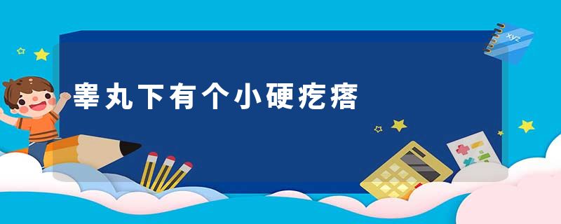 睾丸下有个小硬疙瘩