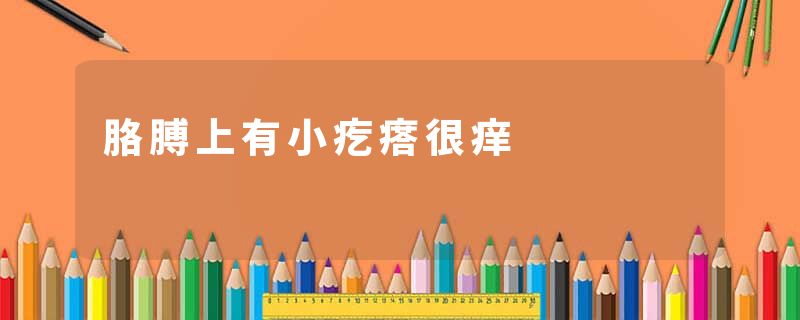 胳膊上有小疙瘩很痒