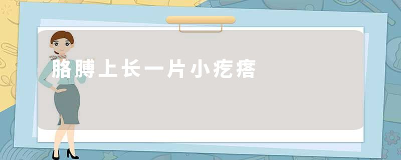 胳膊上长一片小疙瘩