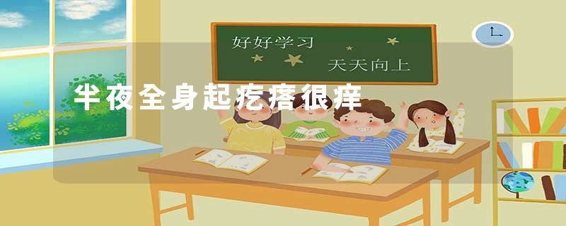 半夜全身起疙瘩很痒