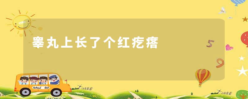 睾丸上长了个红疙瘩