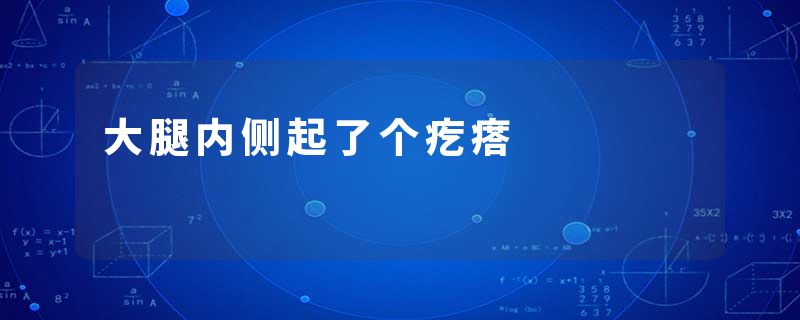 大腿内侧起了个疙瘩
