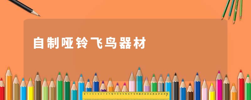 自制哑铃飞鸟器材