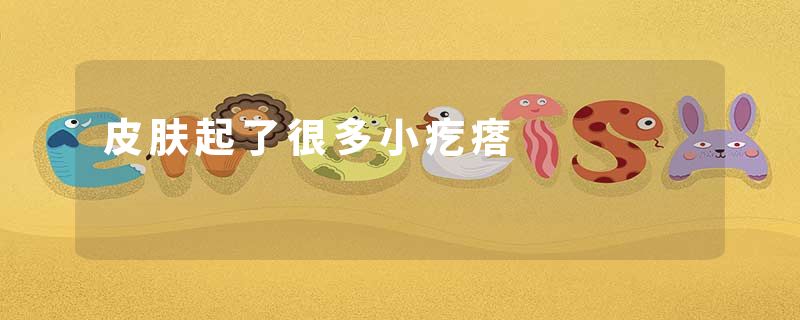 皮肤起了很多小疙瘩