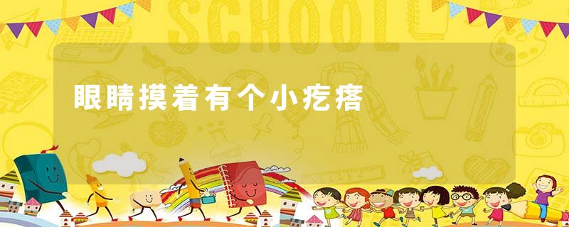 眼睛摸着有个小疙瘩