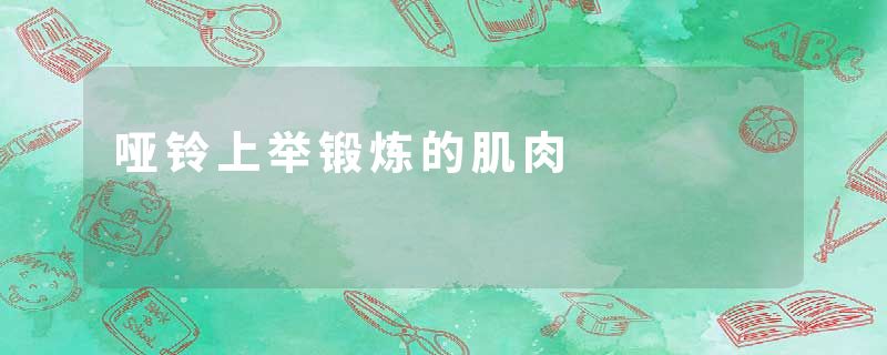 哑铃上举锻炼的肌肉