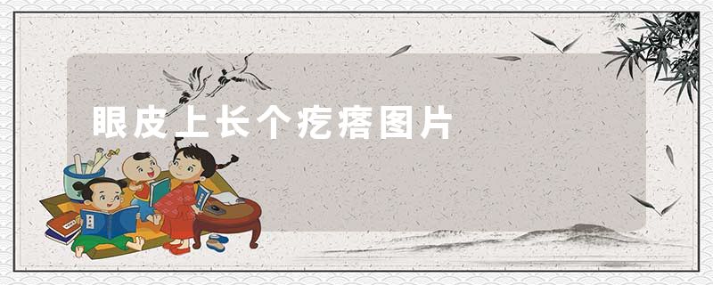 眼皮上长个疙瘩图片