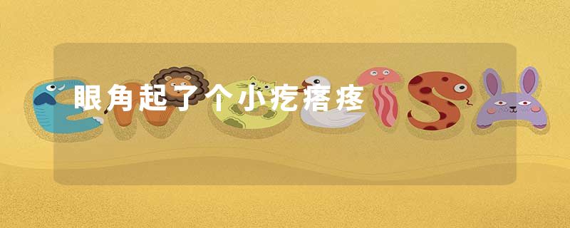 眼角起了个小疙瘩疼