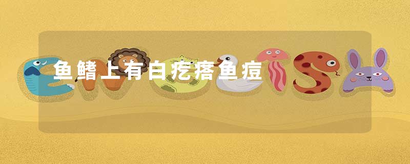 鱼鳍上有白疙瘩鱼痘