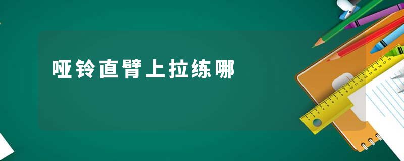 哑铃直臂上拉练哪