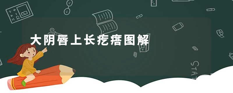 大阴唇上长疙瘩图解