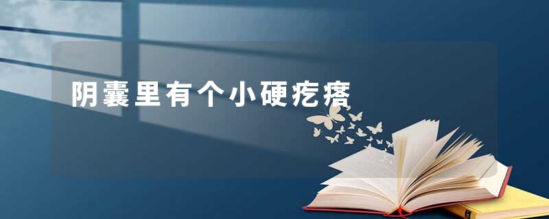 阴囊里有个小硬疙瘩