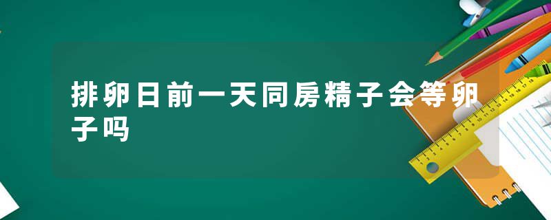 排卵日前一天同房精子会等卵子吗