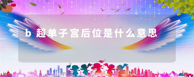 b超单子宫后位是什么意思