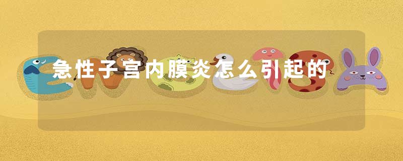 急性子宫内膜炎怎么引起的