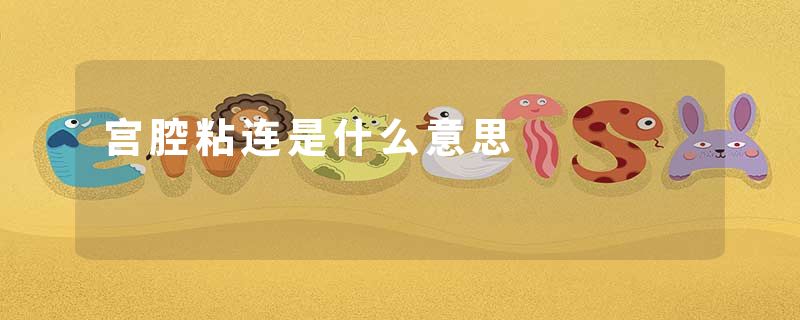 宫腔粘连是什么意思