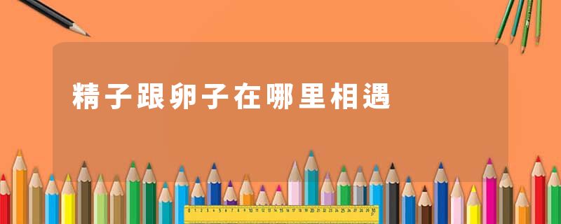 精子跟卵子在哪里相遇