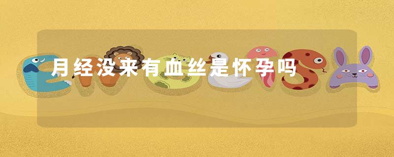 月经没来有血丝是怀孕吗