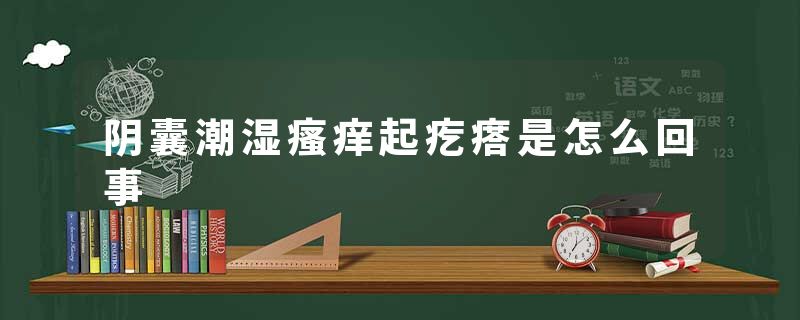 阴囊潮湿瘙痒起疙瘩是怎么回事