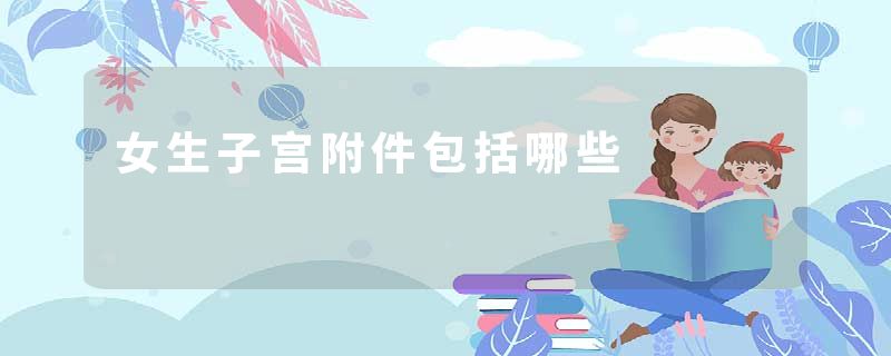 女生子宫附件包括哪些